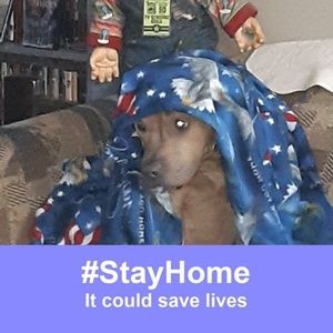 Meet your Posher, Steve